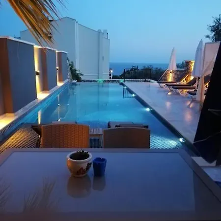 Alen * Kalkan